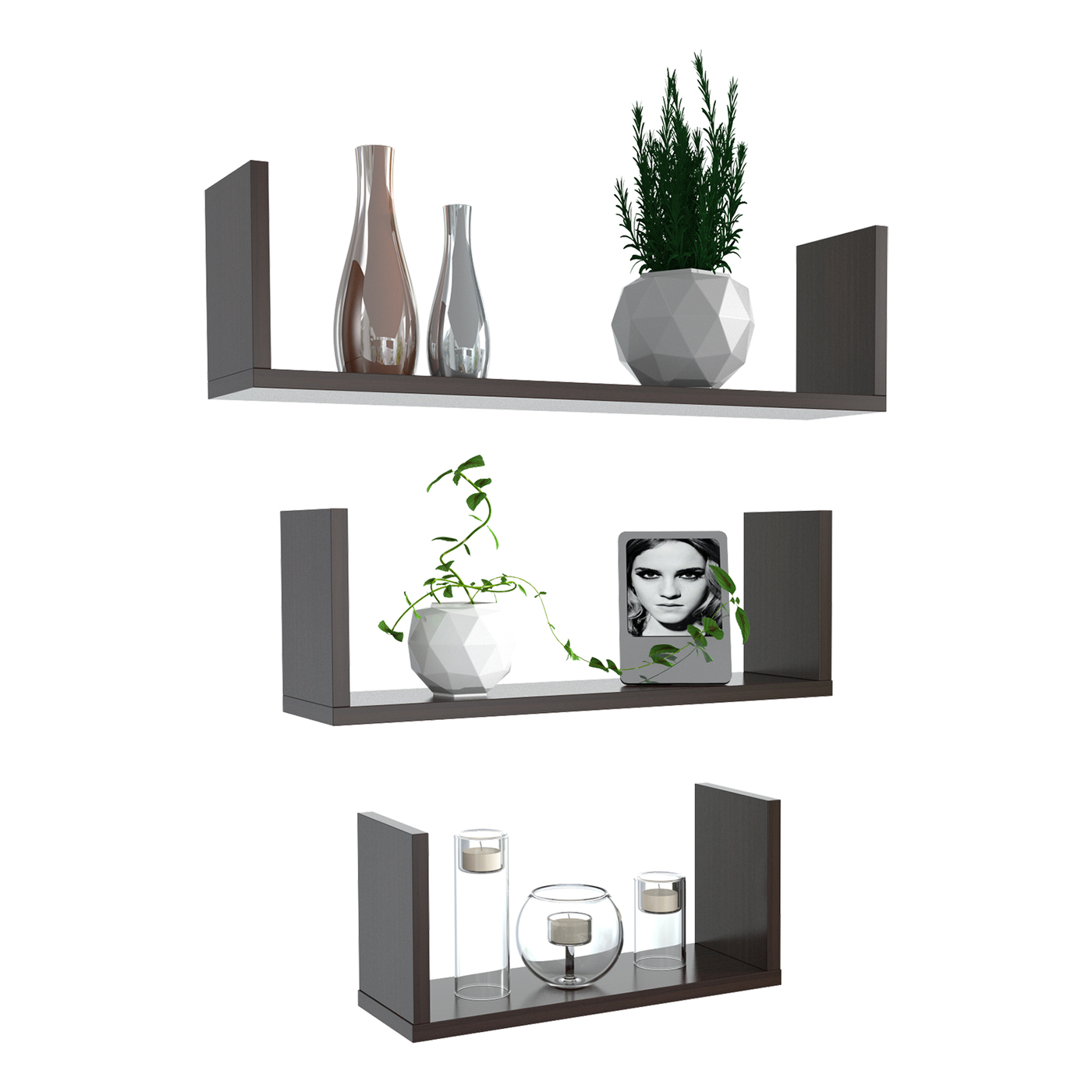 REPISA 40x50x12 RE8932 WENGUE - Image 2